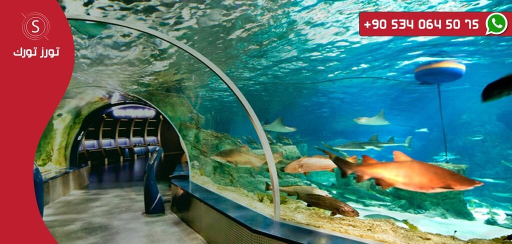 اماكن سياحية في اسطنبول اساحل اكواريوم