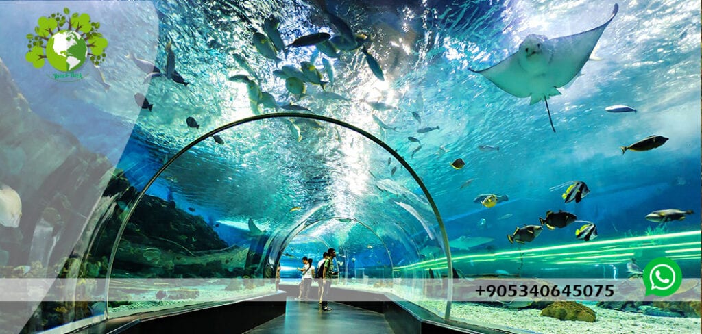 جولة اكواريوم اسطنبول