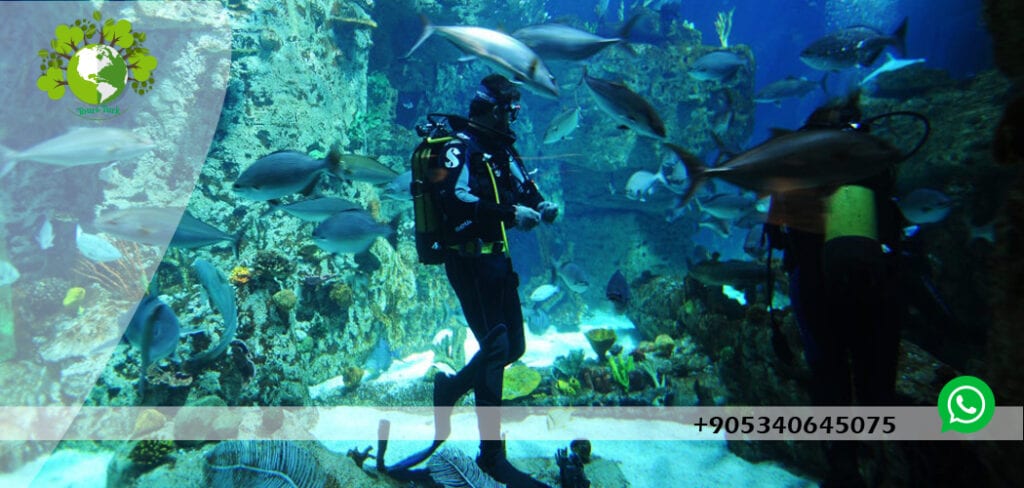 جولة اكواريوم اسطنبول