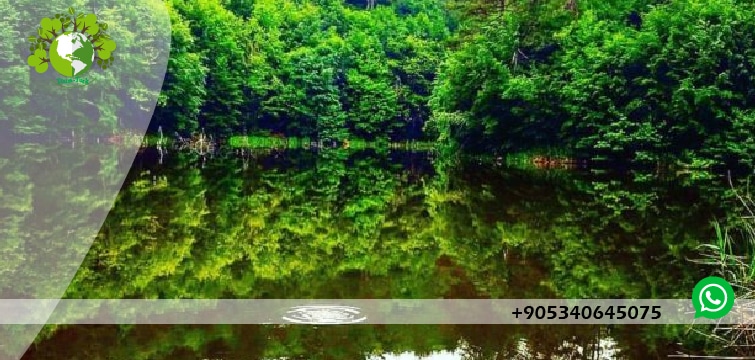 بحيرة السد جولة يلوا