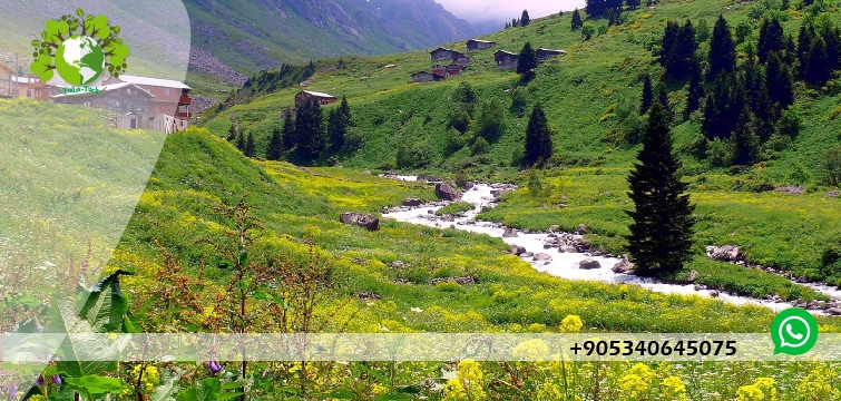 حاج كالي بابا