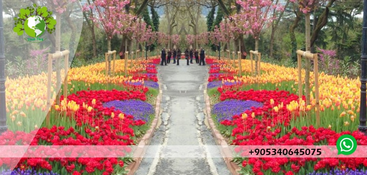 جولة حديقة الاميرجان