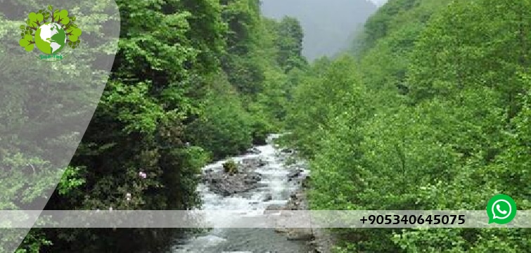 جولة كاياباشي