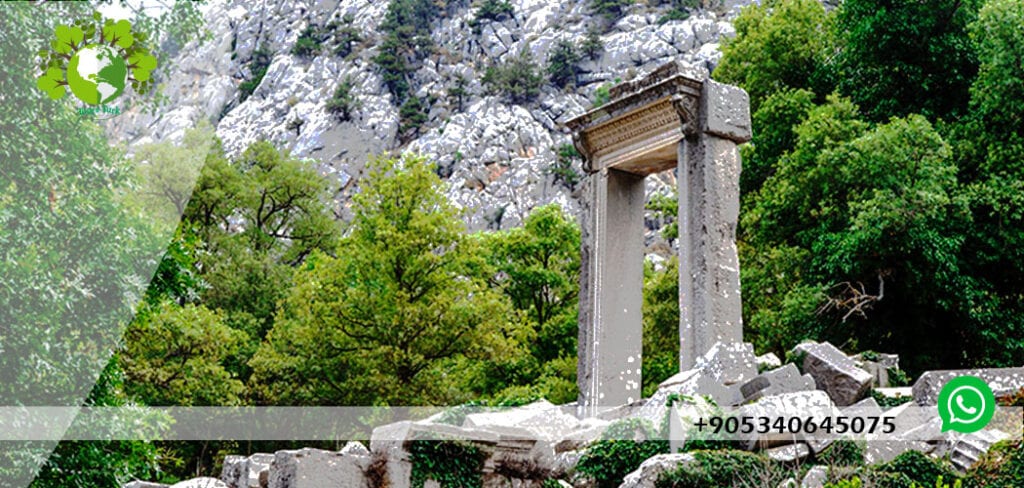 مدينة تيرميسوس