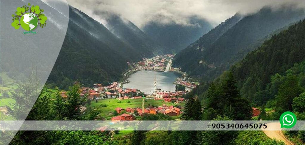 uzungol