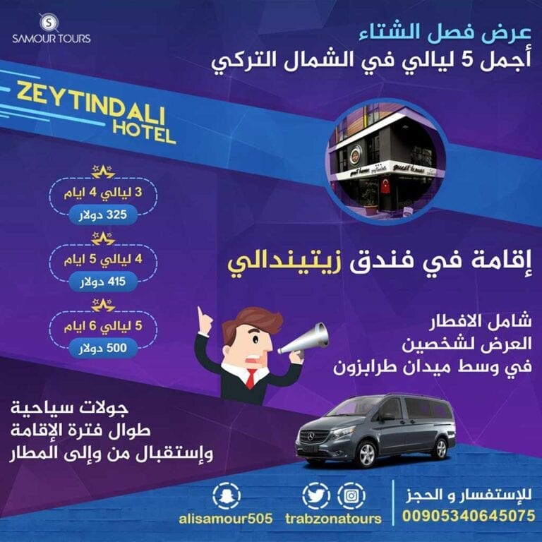 عرض الشتاء زيتين دالي