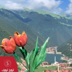 اجمل برامج سياحية في تركيا