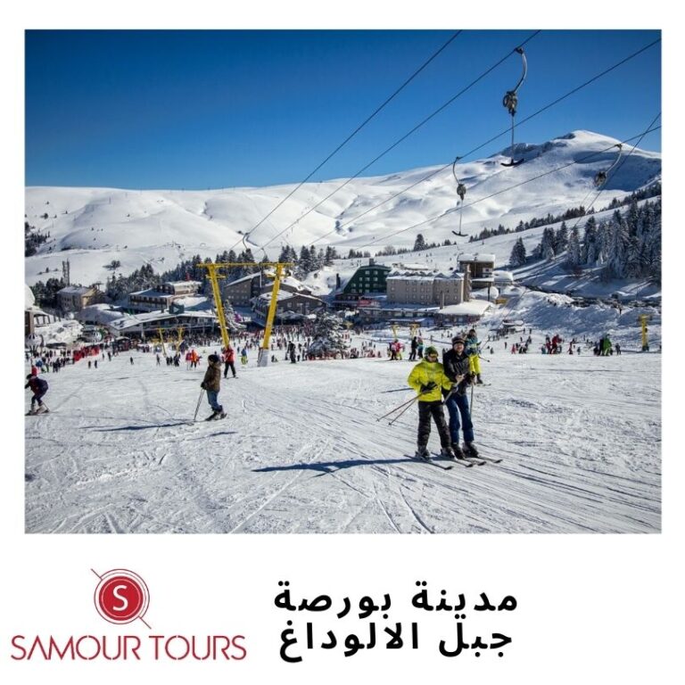 رحلة بورصة